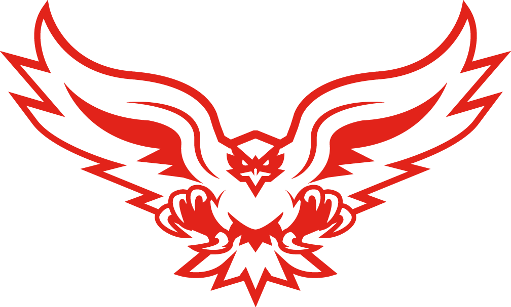 Hartford Hawks 2015-Pres Alternate Logo v4 diy DTF decal sticker